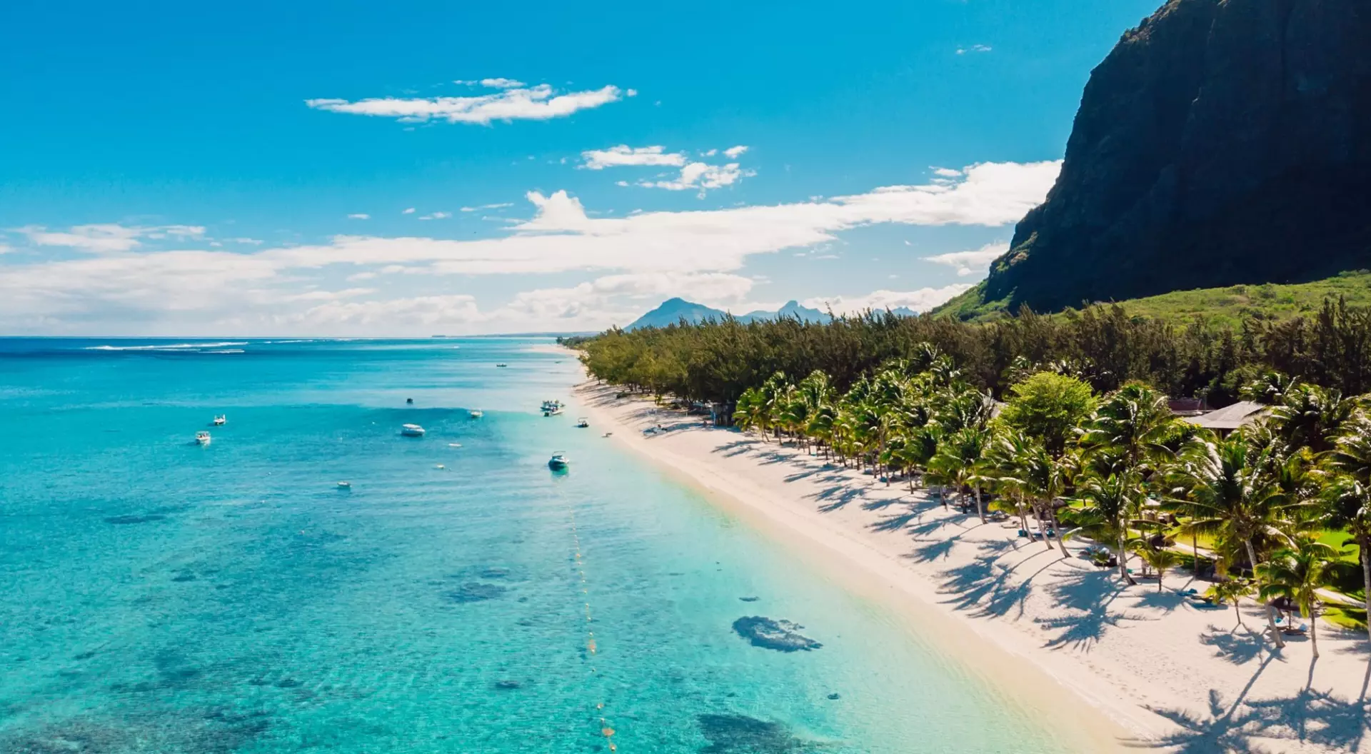 Luxury beach with mountain in Mauritius. Sandy beach with palms and blue ocean