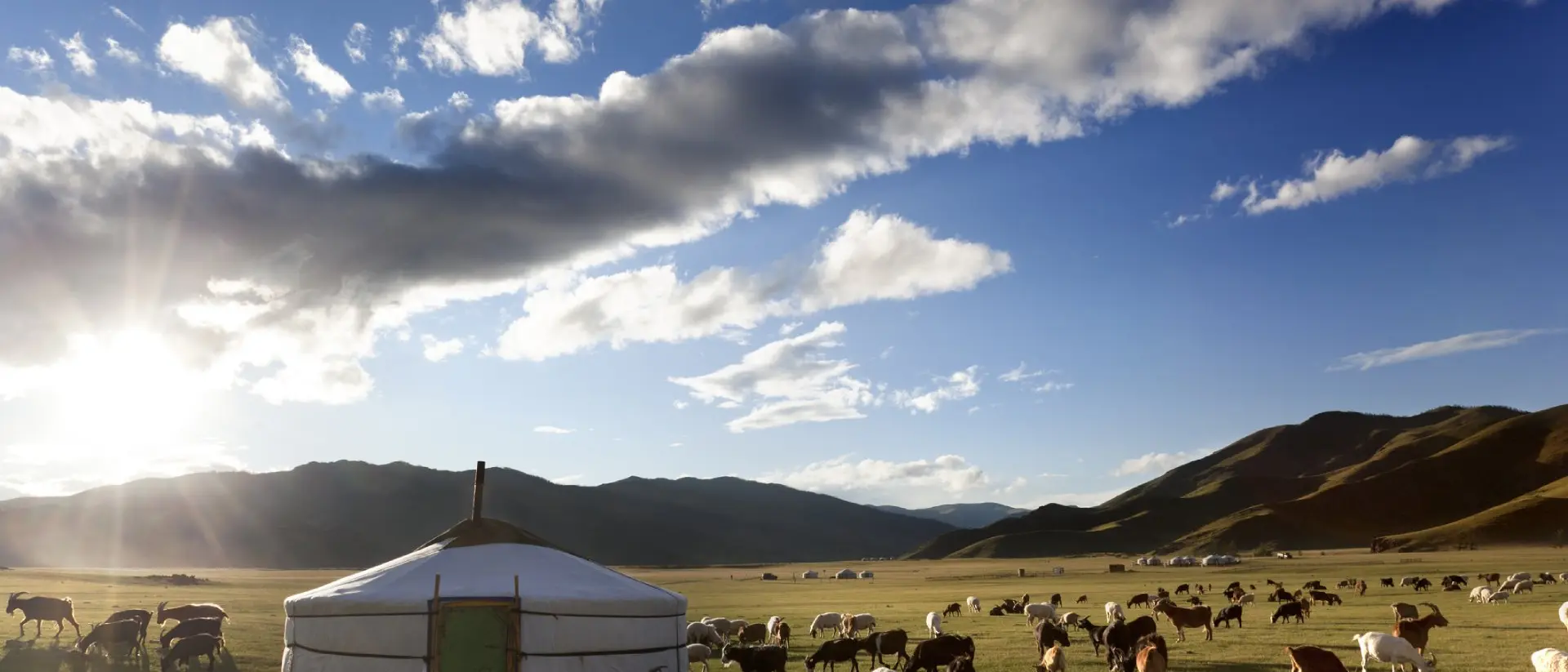 Livestock in a pasture around haystack on partly cloudy day