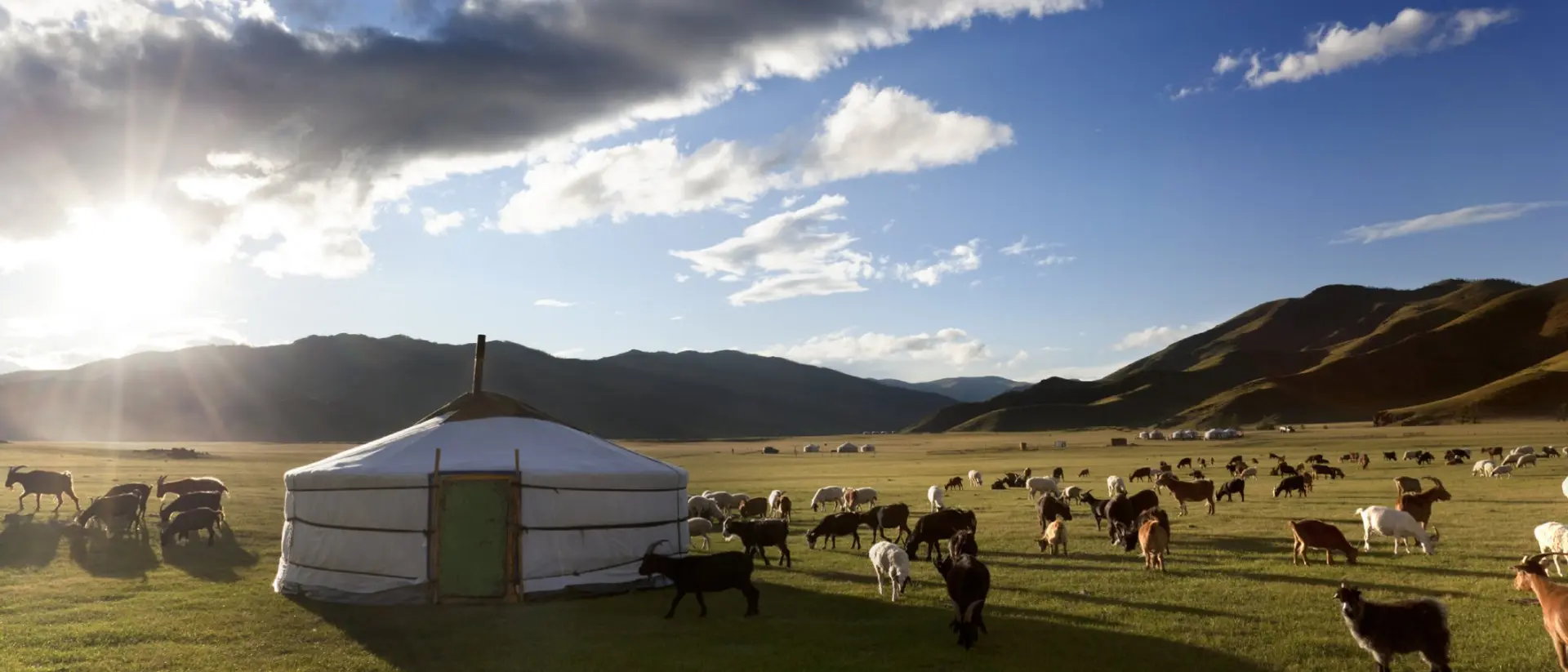 Livestock in a pasture around haystack on partly cloudy day