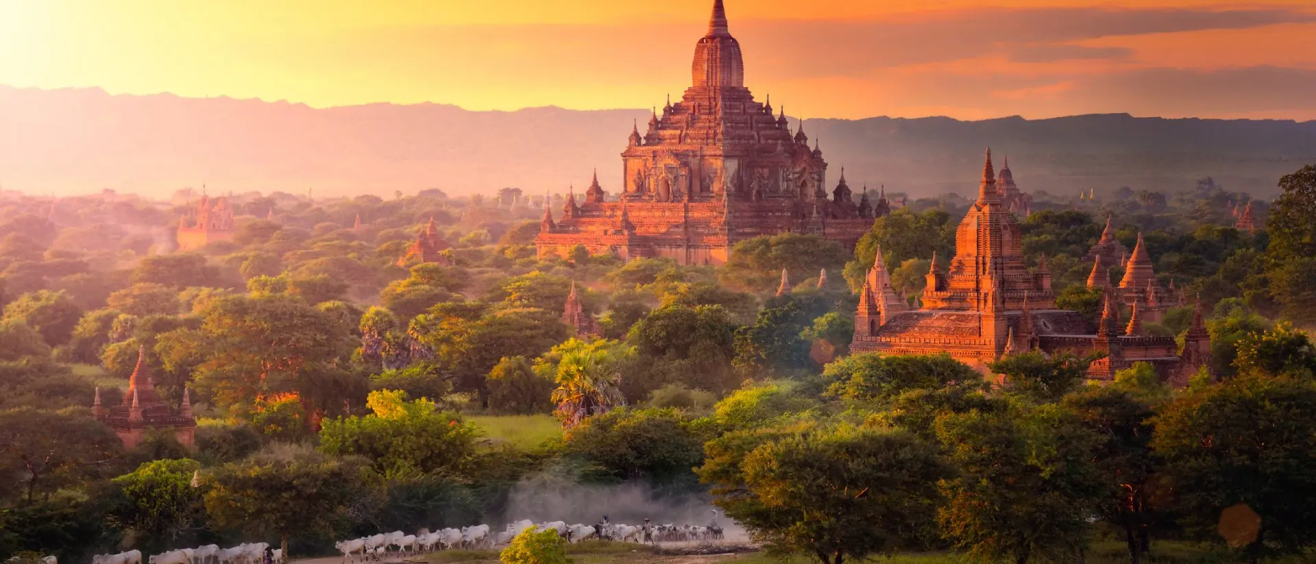 Pagoda landscape in the plain of Bagan