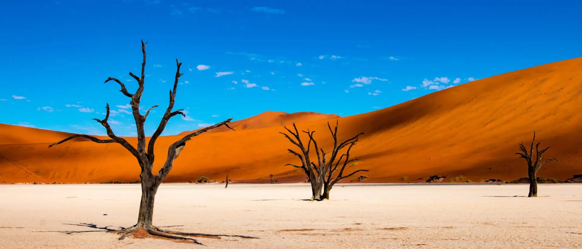 Deadvlei in Sossusvlei