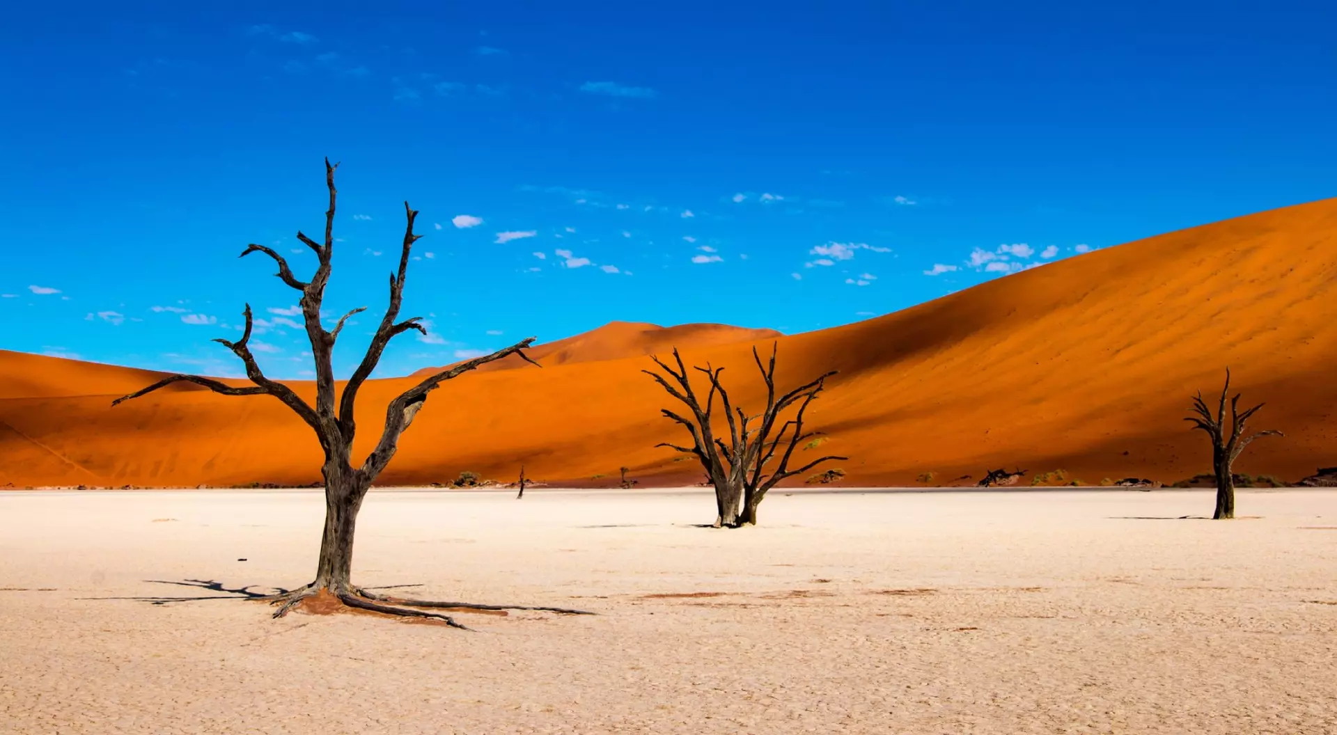 Deadvlei in Sossusvlei
