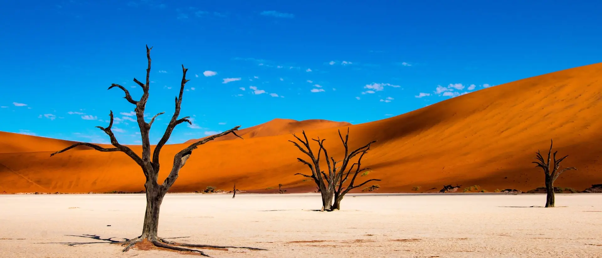 Deadvlei in Sossusvlei