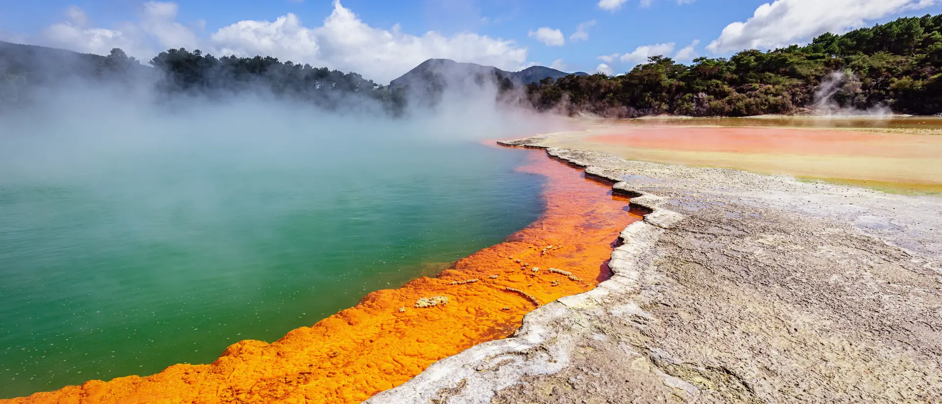 Wai-o-tapu is one of the best spots to see geothermal activity in New Zealand. Waiotapu New Zealand Geothermal Champagne Poo