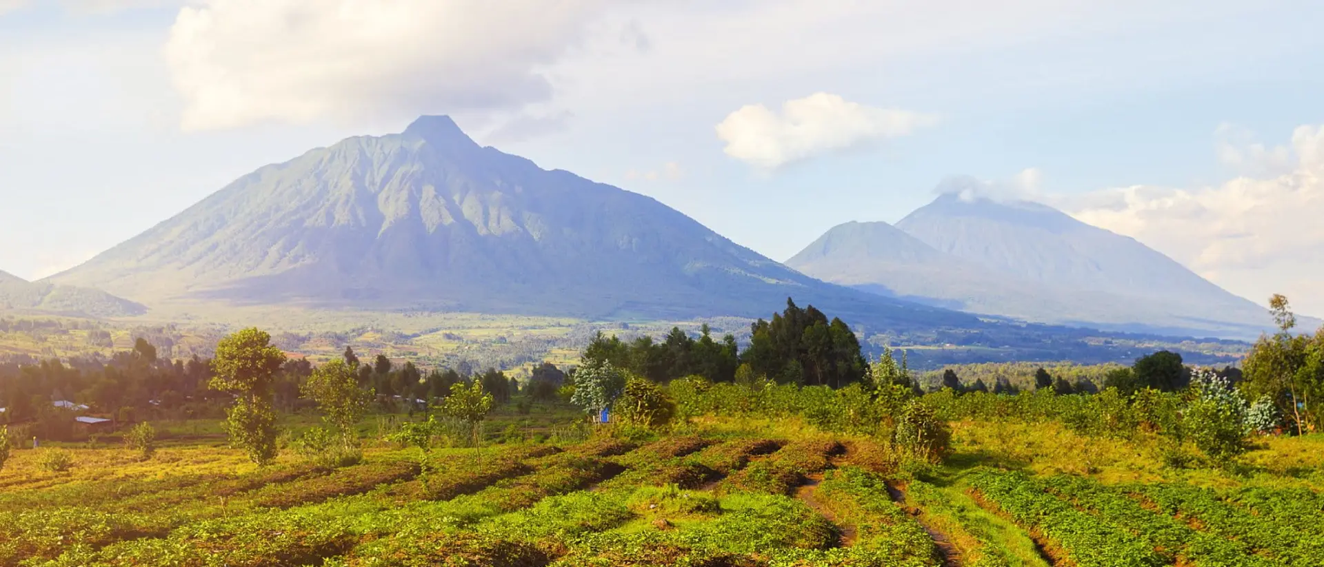 Virunga Mountains and Volcanoes in Rwanda