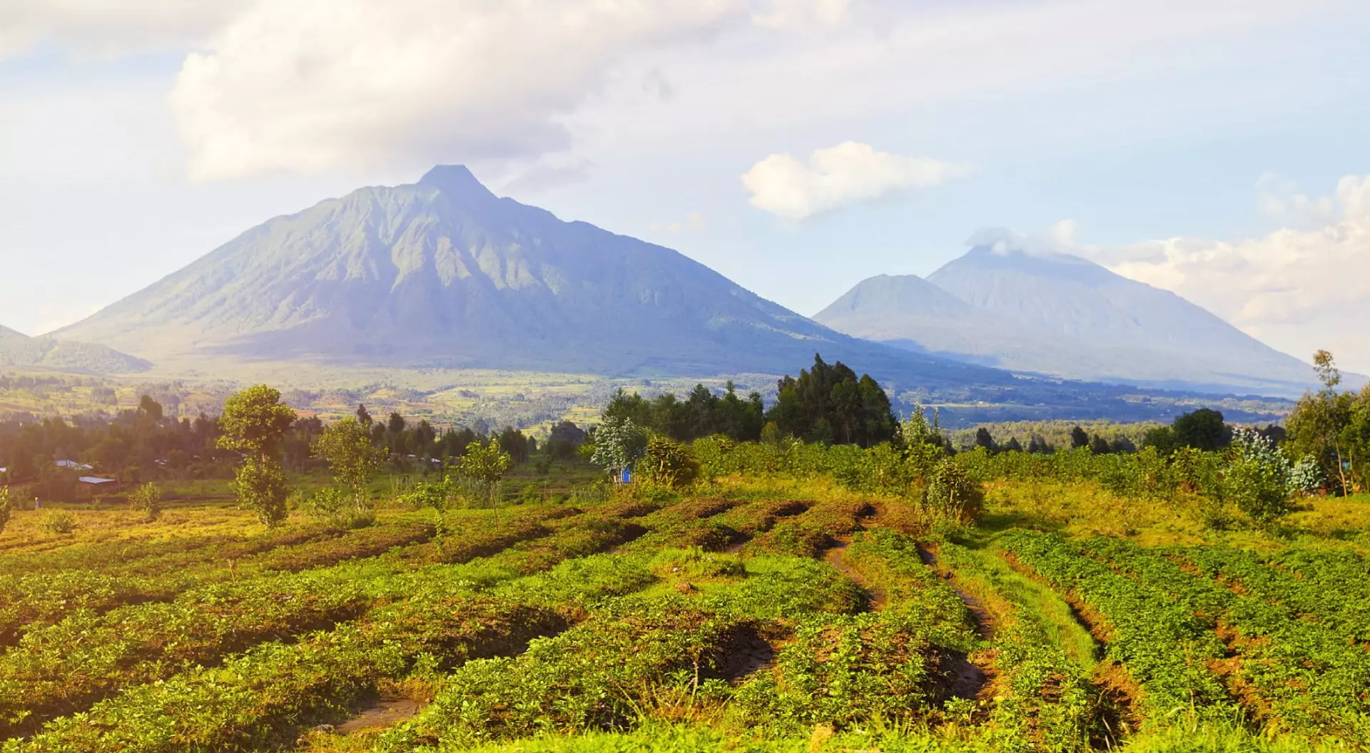 Virunga Mountains and Volcanoes in Rwanda