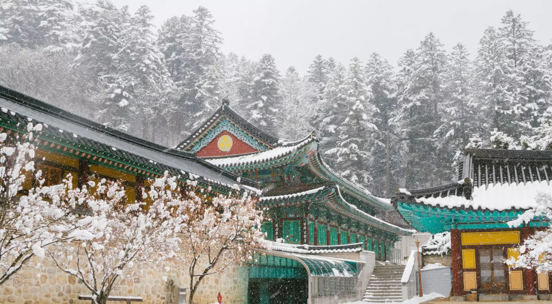 Odaesan Woljeongsa, Pyeongchang, South Korea Beautiful winter landscape with snow covered trees and asian temple Odaesan Woljeongsa in Pyeongchang, Korea