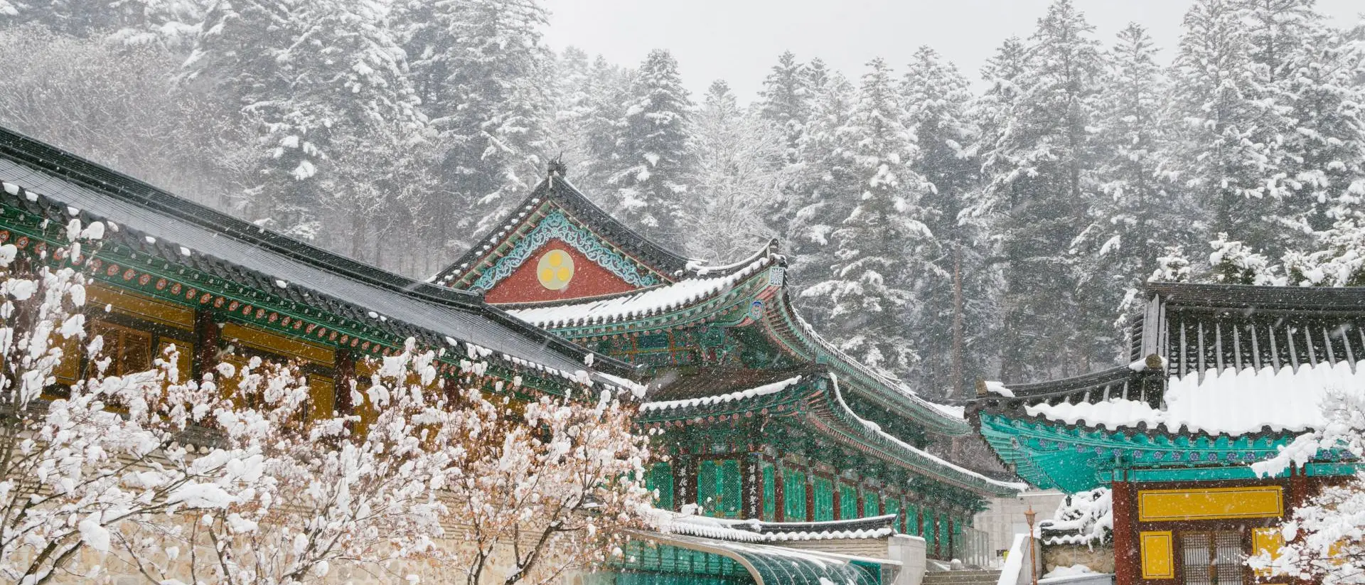 Odaesan Woljeongsa, Pyeongchang, South Korea Beautiful winter landscape with snow covered trees and asian temple Odaesan Woljeongsa in Pyeongchang, Korea