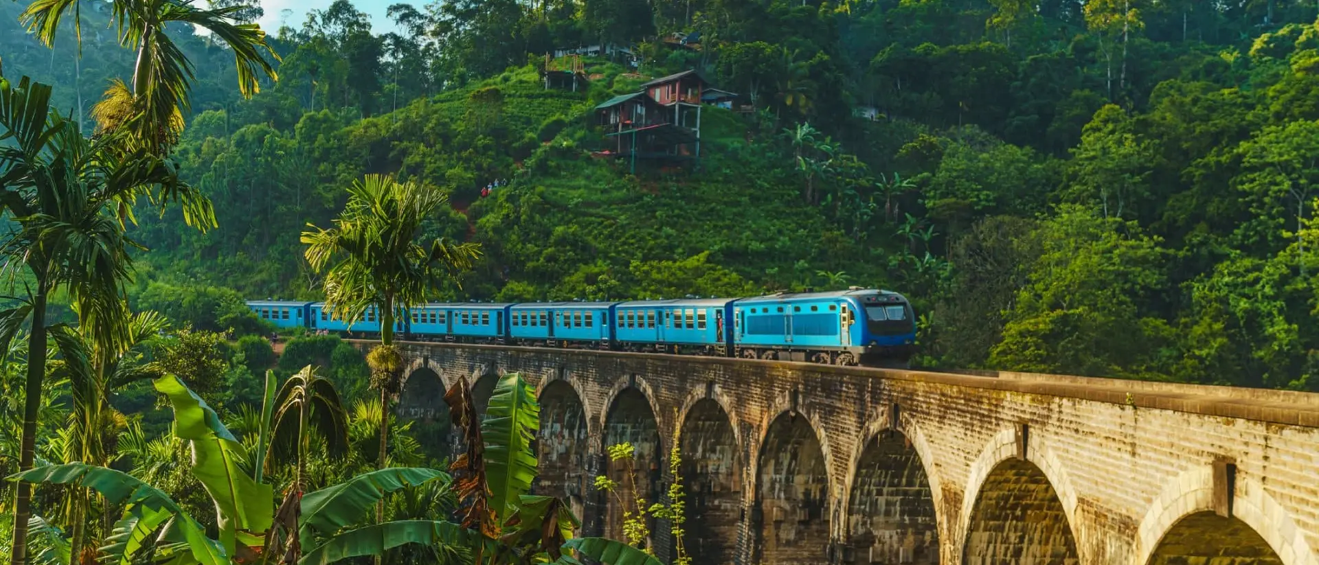 Train passing over Nine Arch Bridge