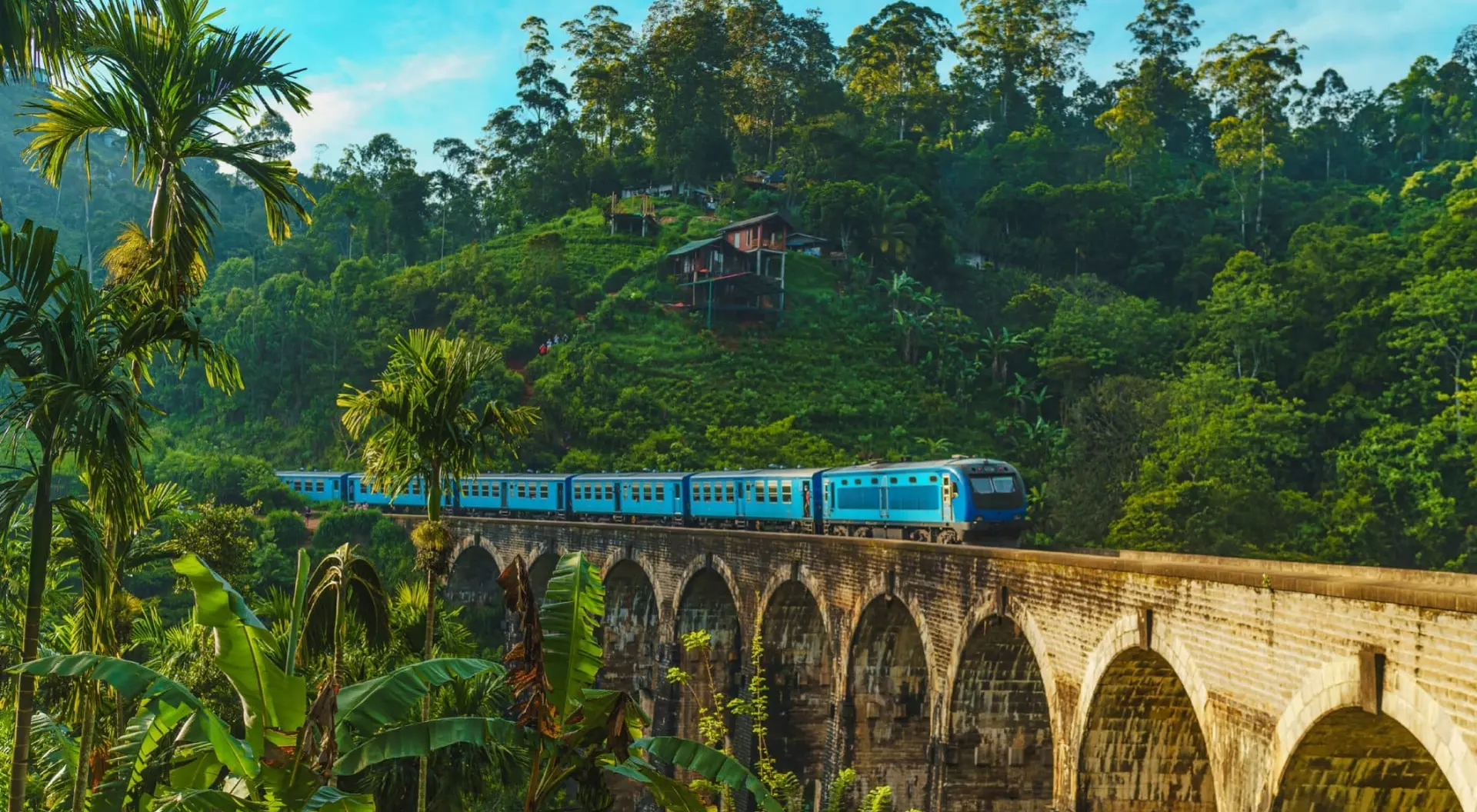 Train passing over Nine Arch Bridge