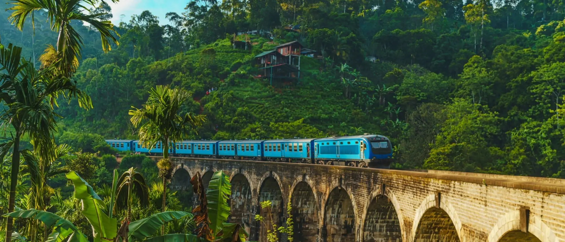 Train passing over Nine Arch Bridge