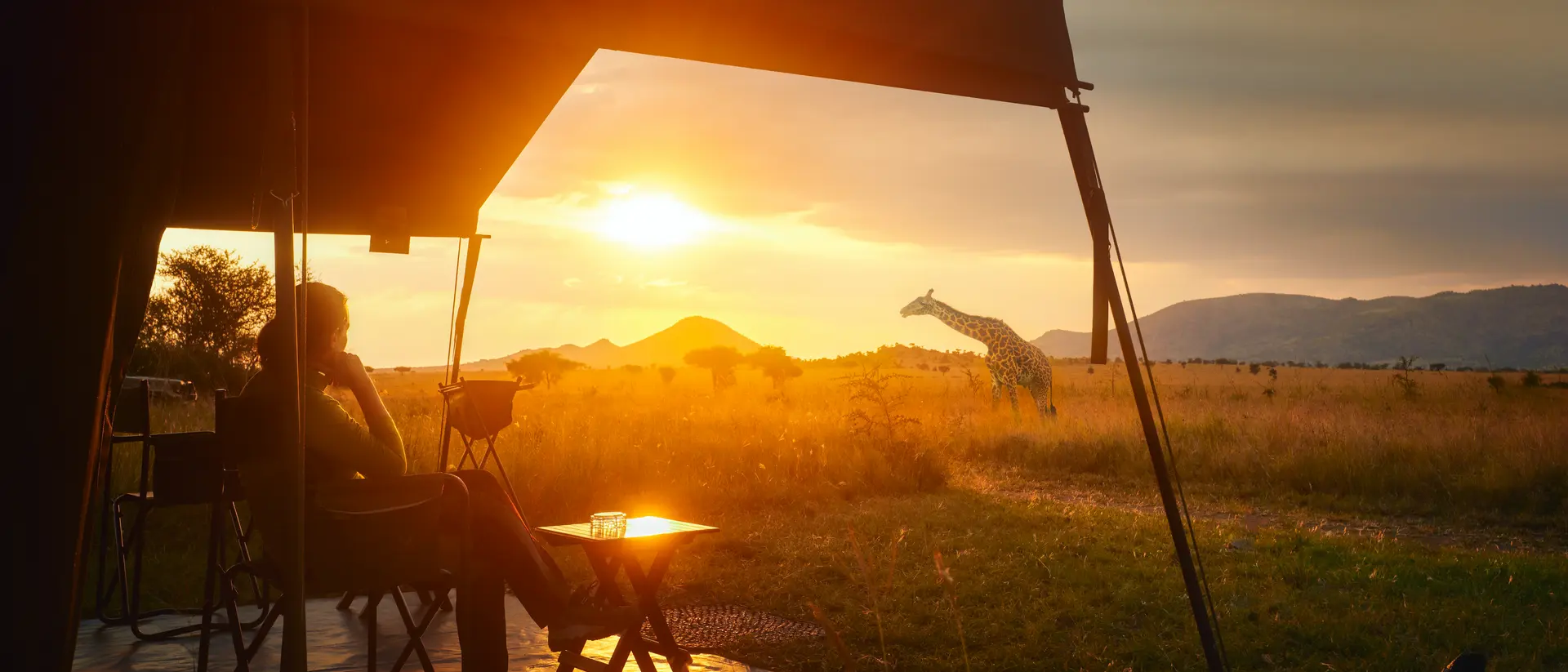 woman sitting in a tent at sunset looking at a giraffe