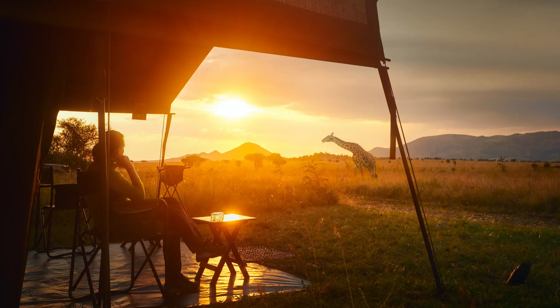 woman sitting in a tent at sunset looking at a giraffe
