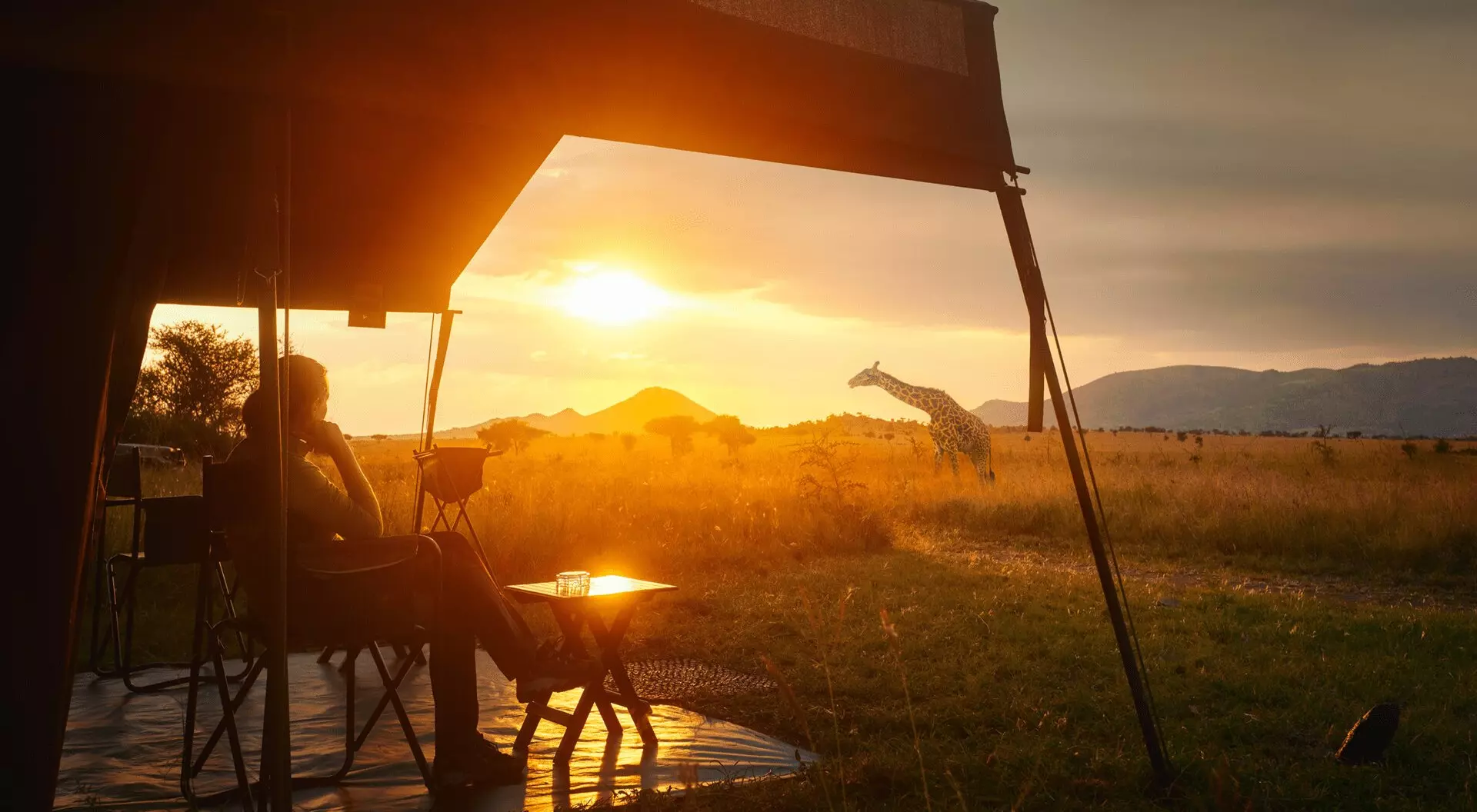 A woman sitting in a tent at sunset looking at a giraffe
