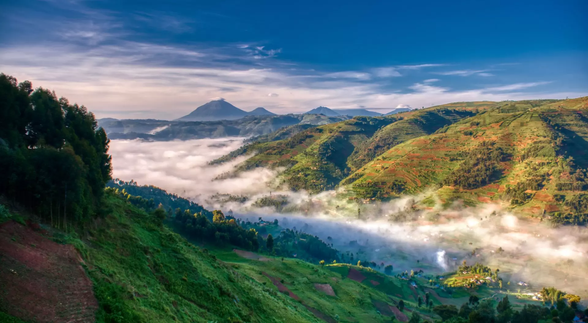 Morning farmland green of Uganda with volcanoes in background