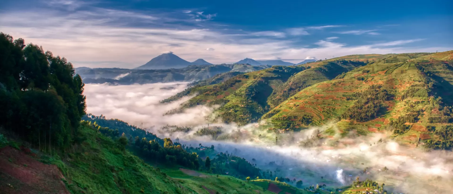 Morning farmland green of Uganda with volcanoes in background