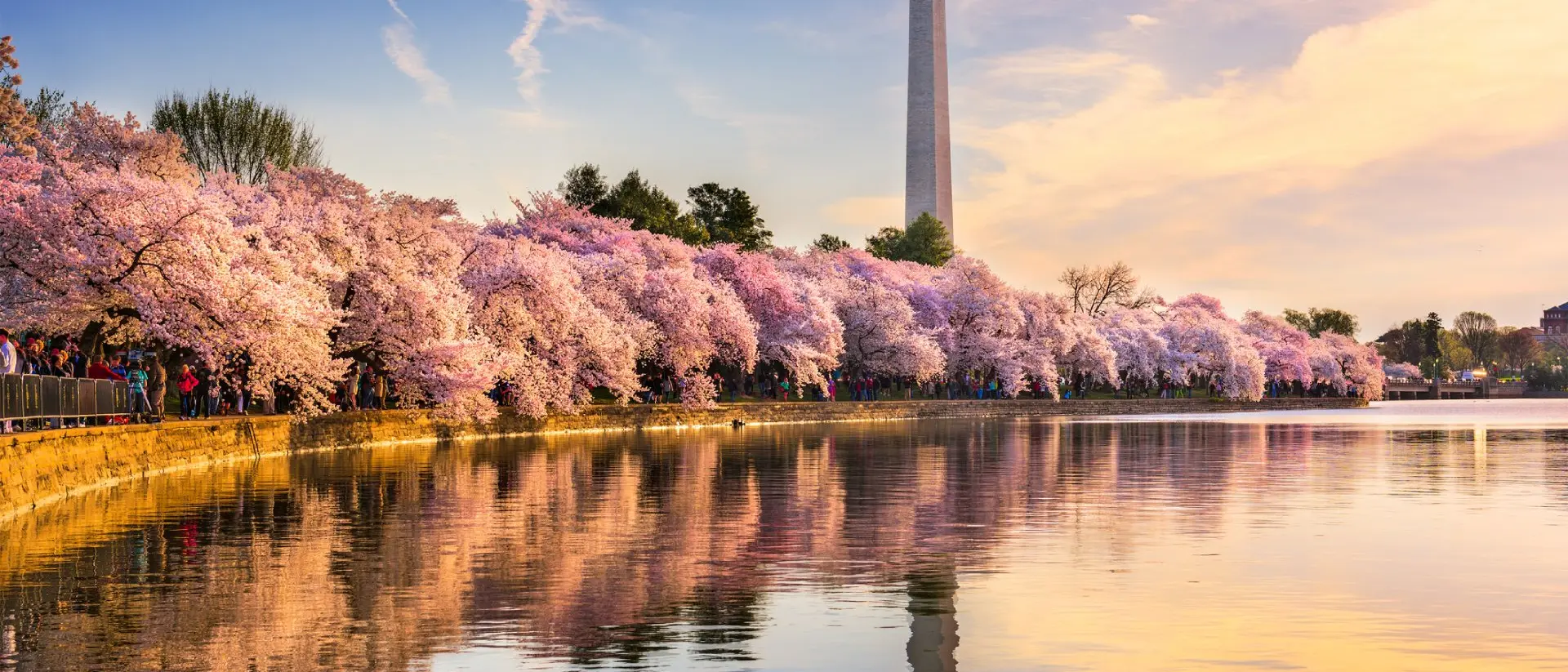 Washington DC in Spring