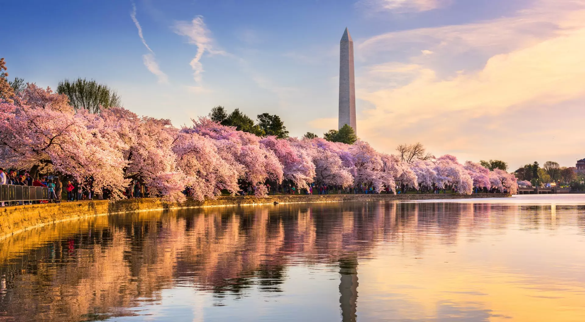 Washington DC in Spring