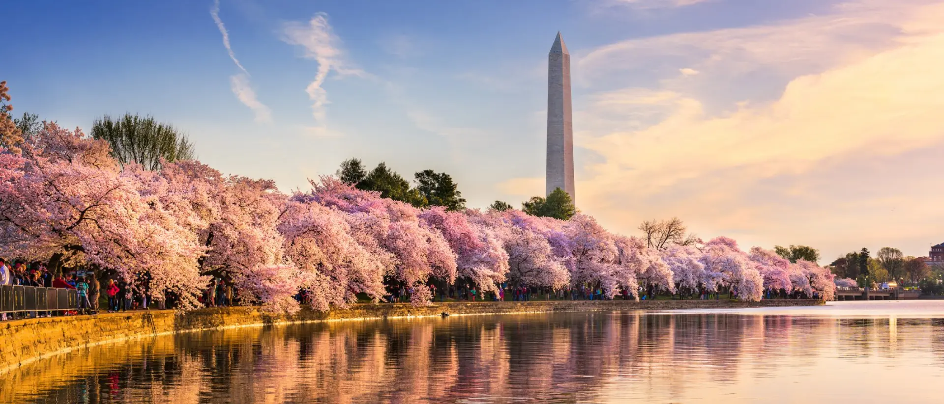 Washington DC in Spring