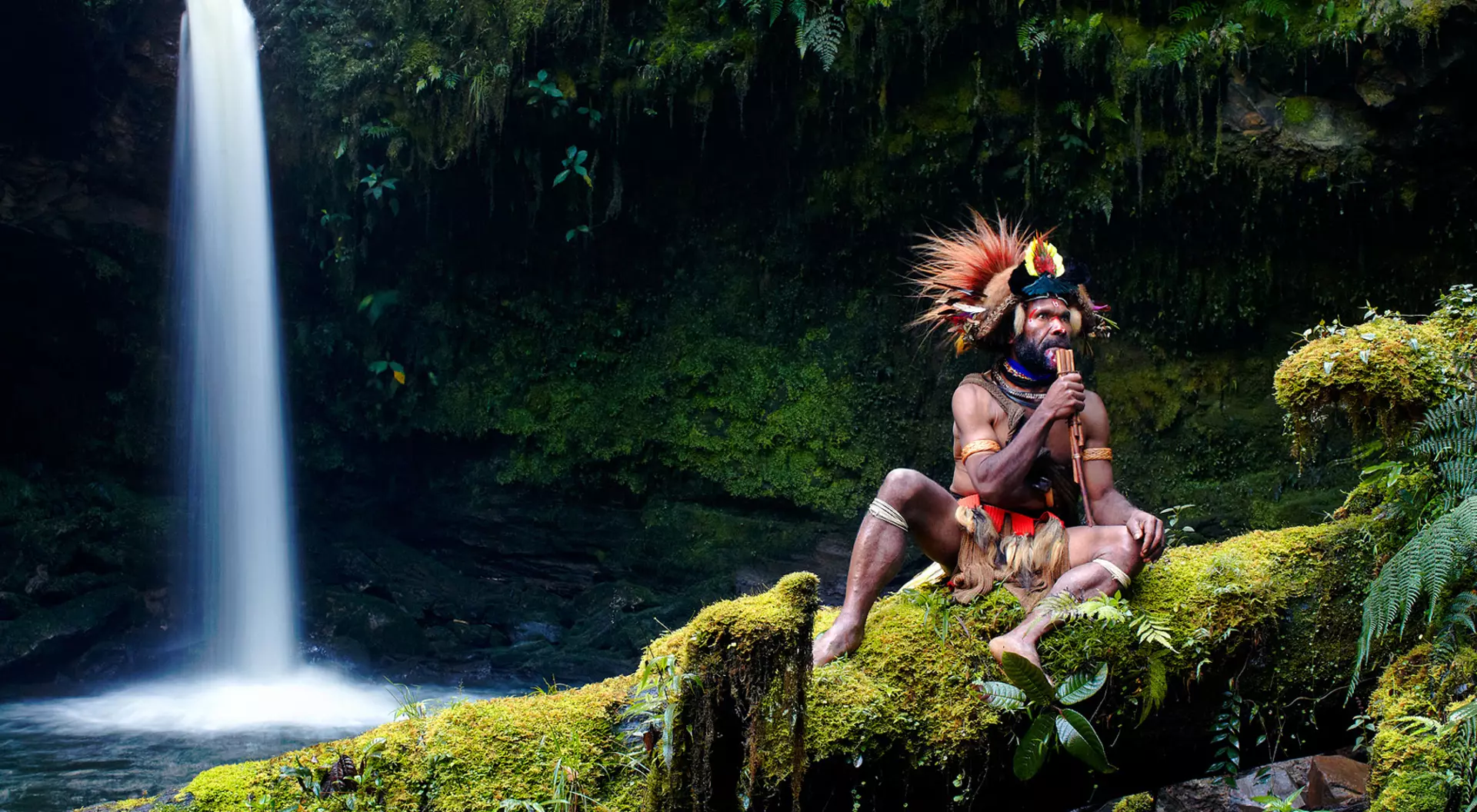 New Guinea Expedition