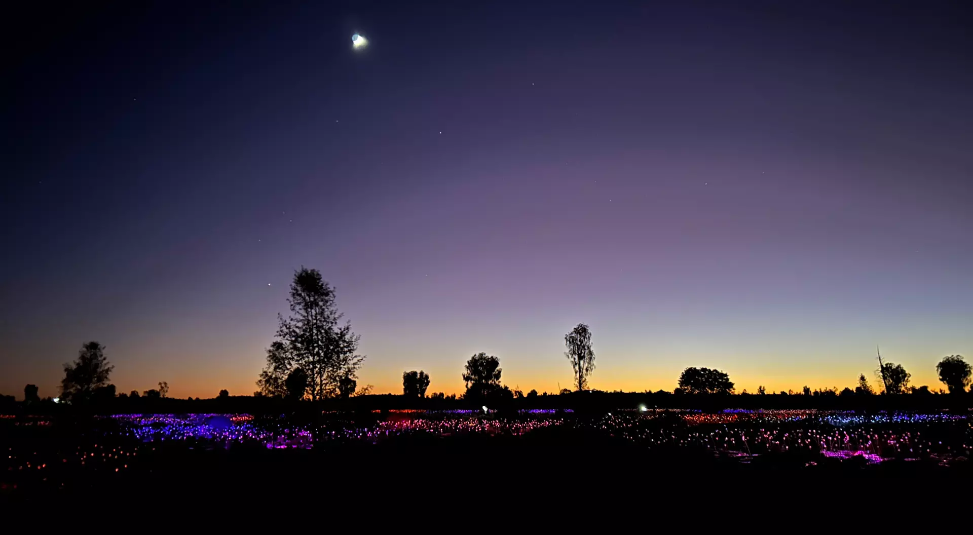 Field of Light
