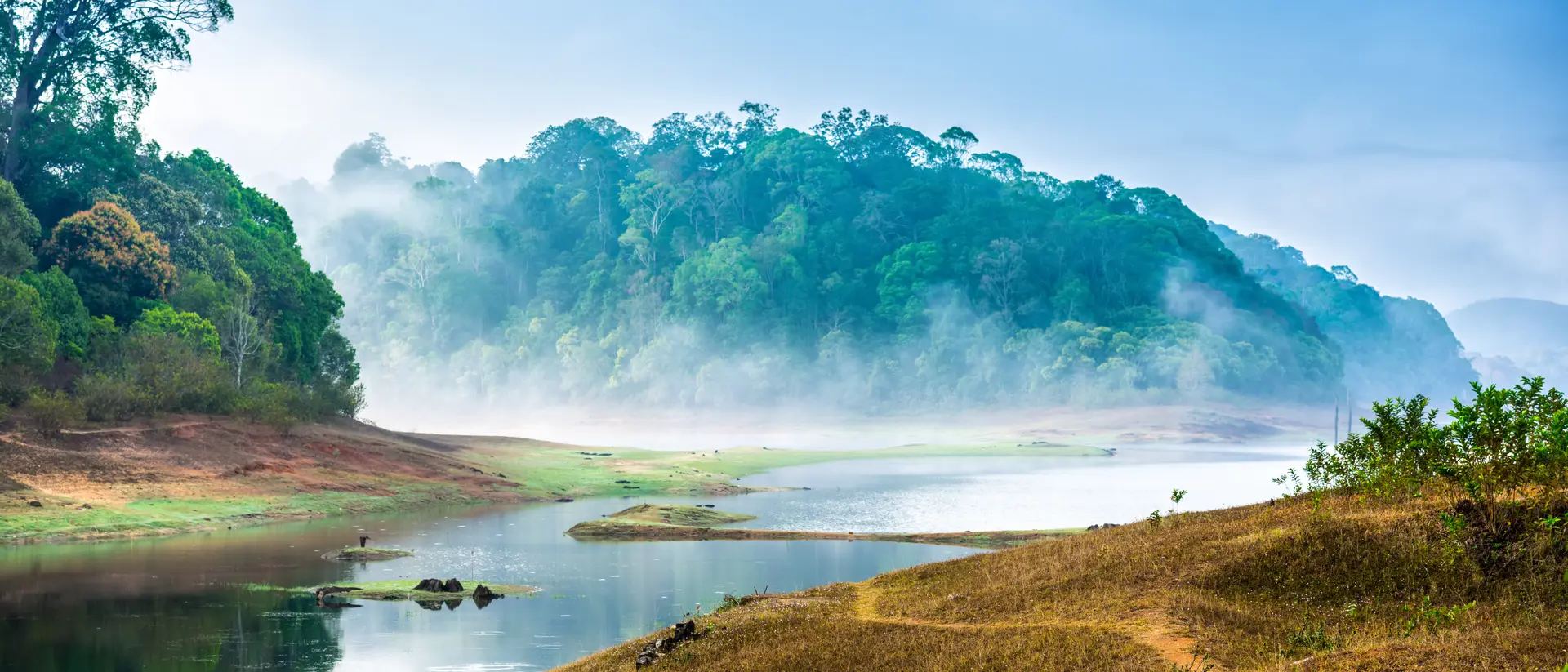 Explore the vast landscape of Periyar National Park