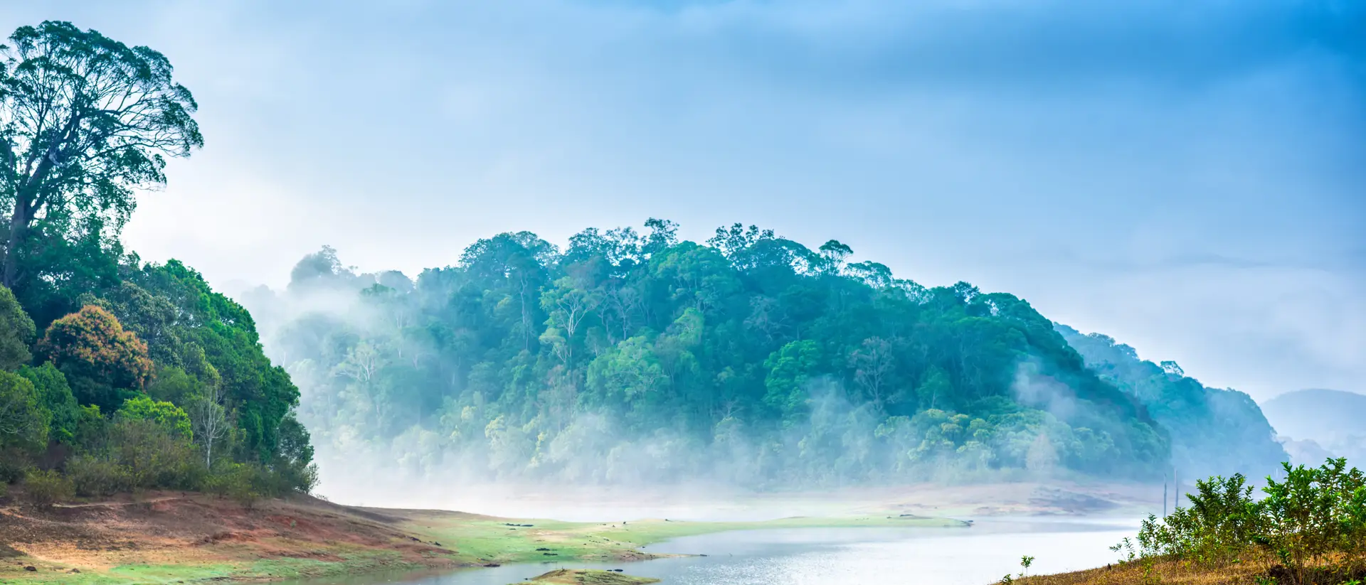 Explore the vast landscape of Periyar National Park
