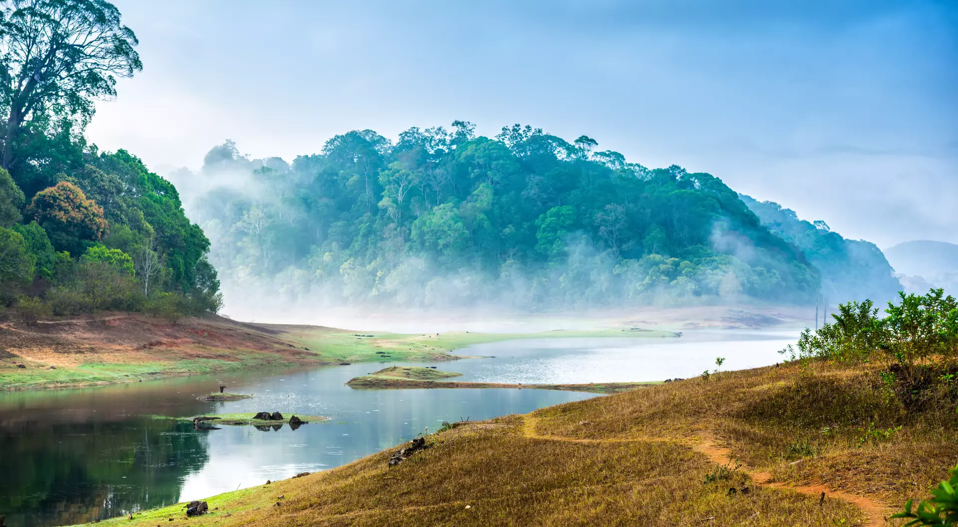 Explore the vast landscape of Periyar National Park