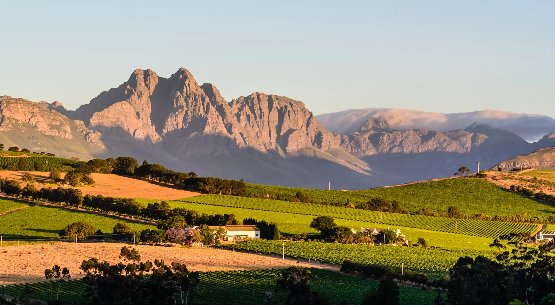 Stellenbosch, a historic town nestled amidst vineyard-covered hills.