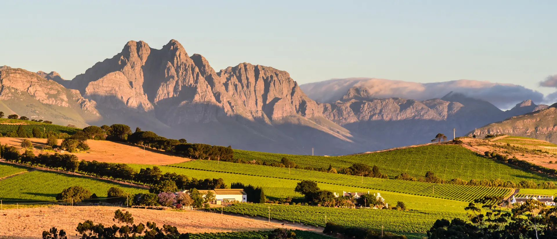 Stellenbosch,  a historic town nestled amidst vineyard-covered hills.