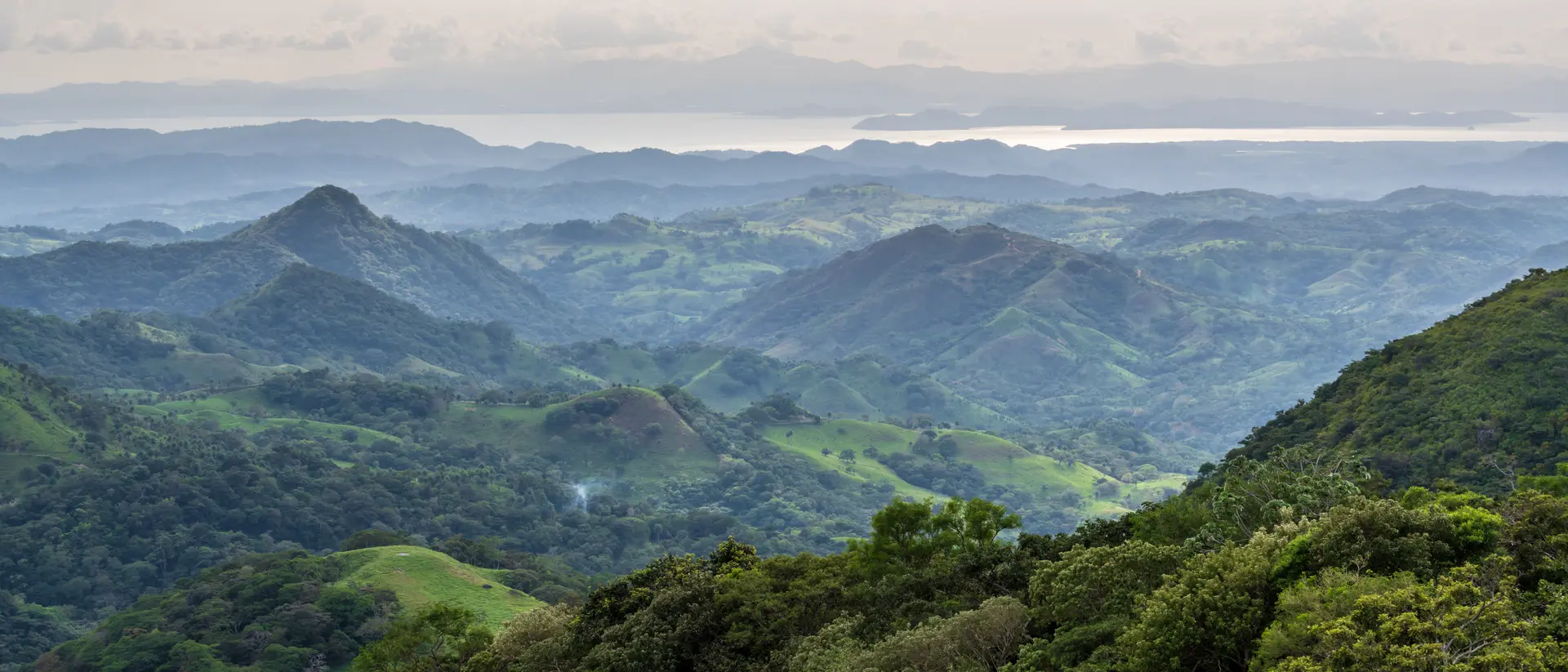 Monteverde