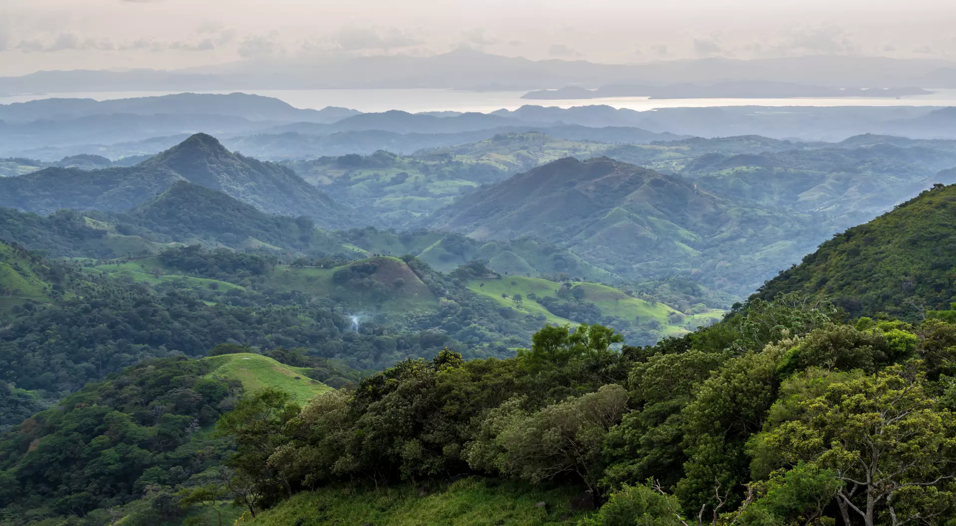 Monteverde