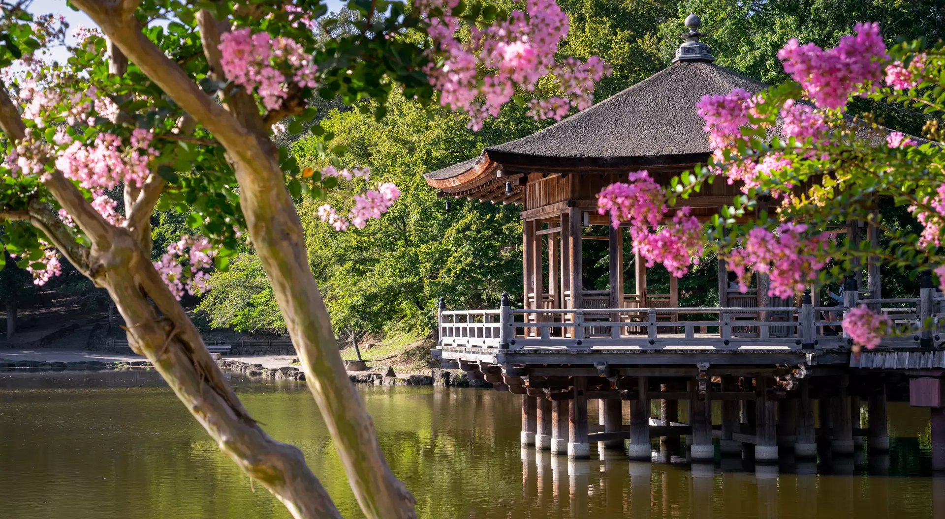 Nara Park 