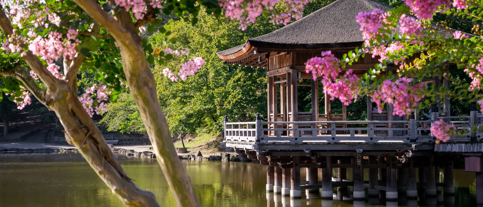 Nara Park