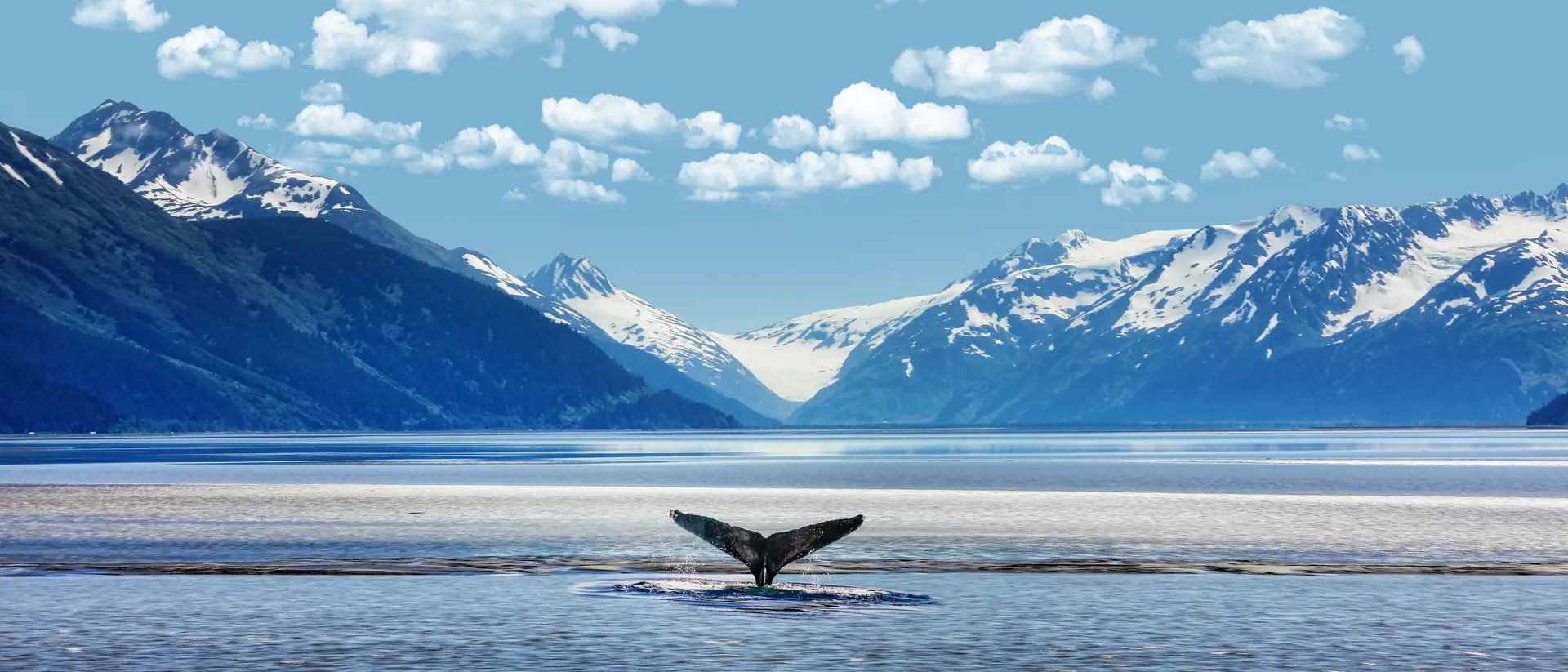 Experience the beauty of Alaska