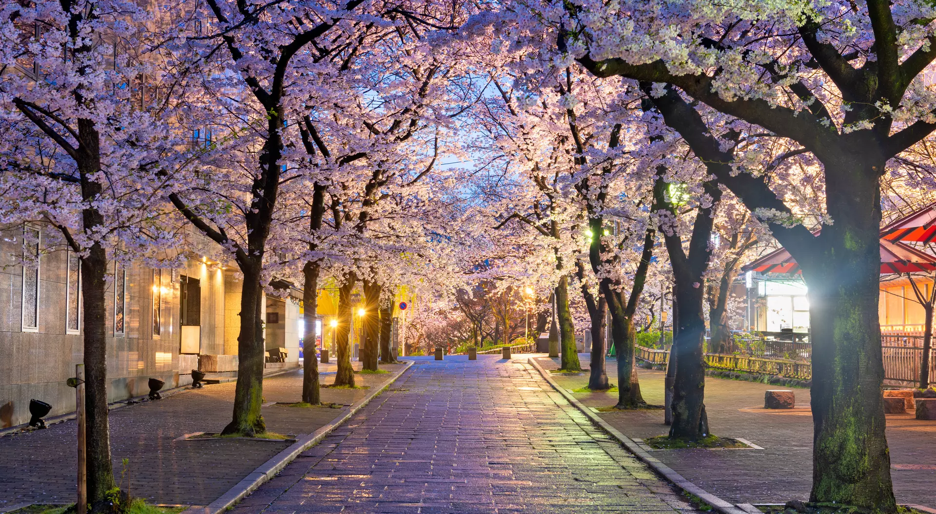 Gion, Kyoto