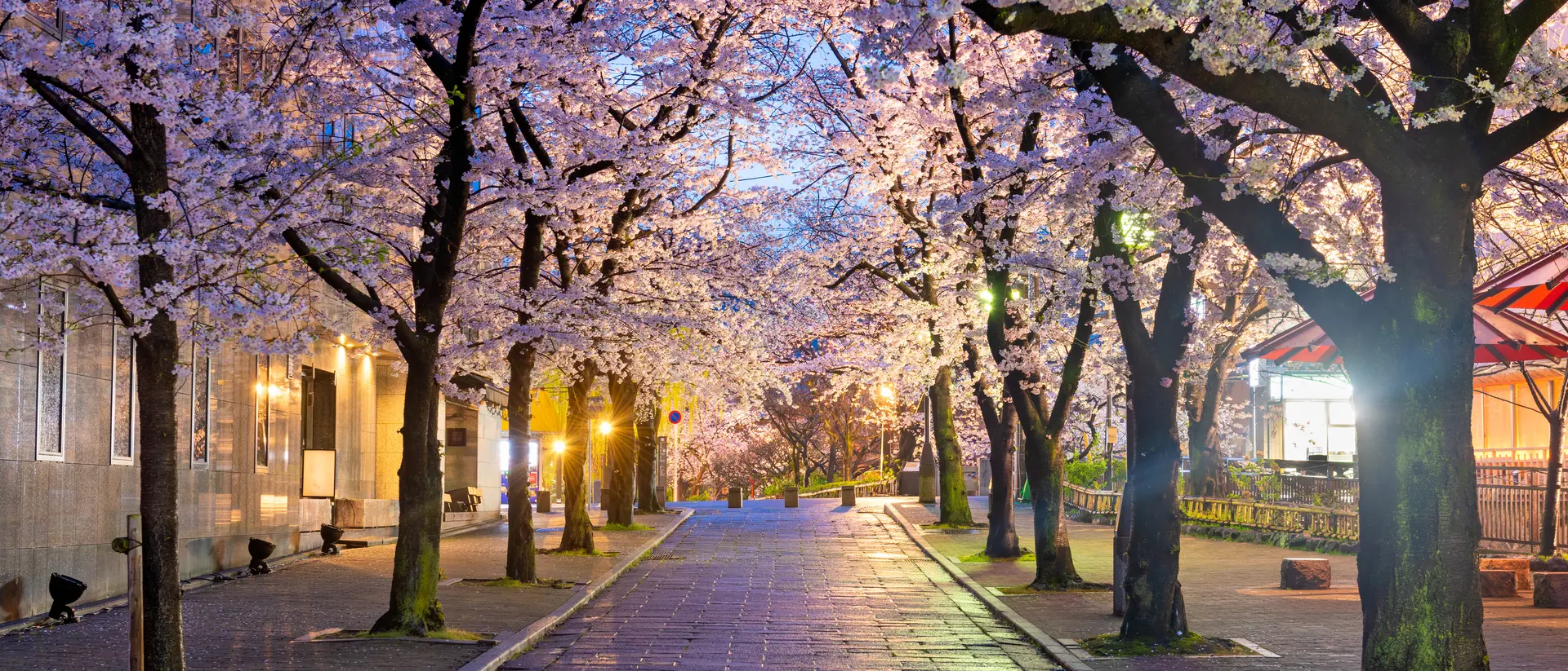 Gion, Kyoto