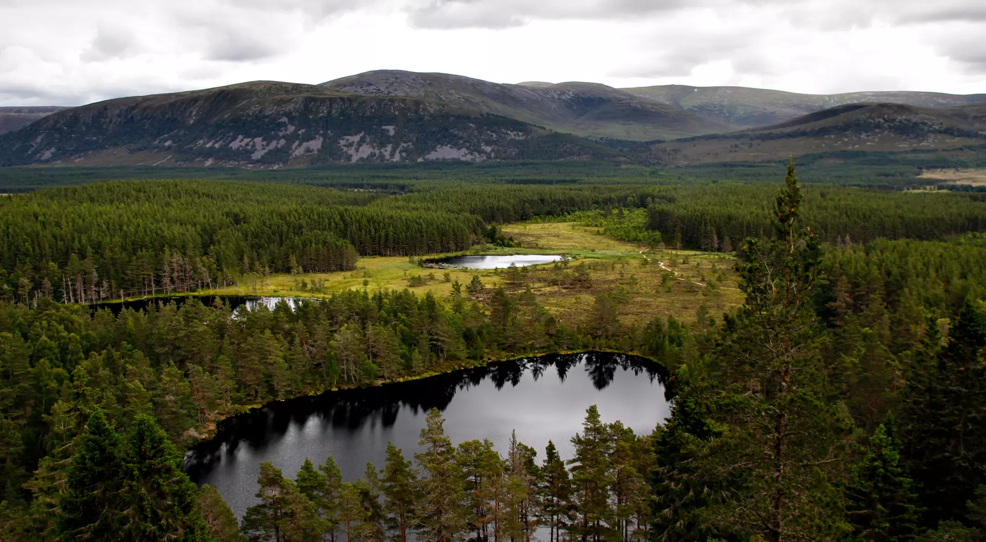 Explore the beauty of Cairngorms National Park