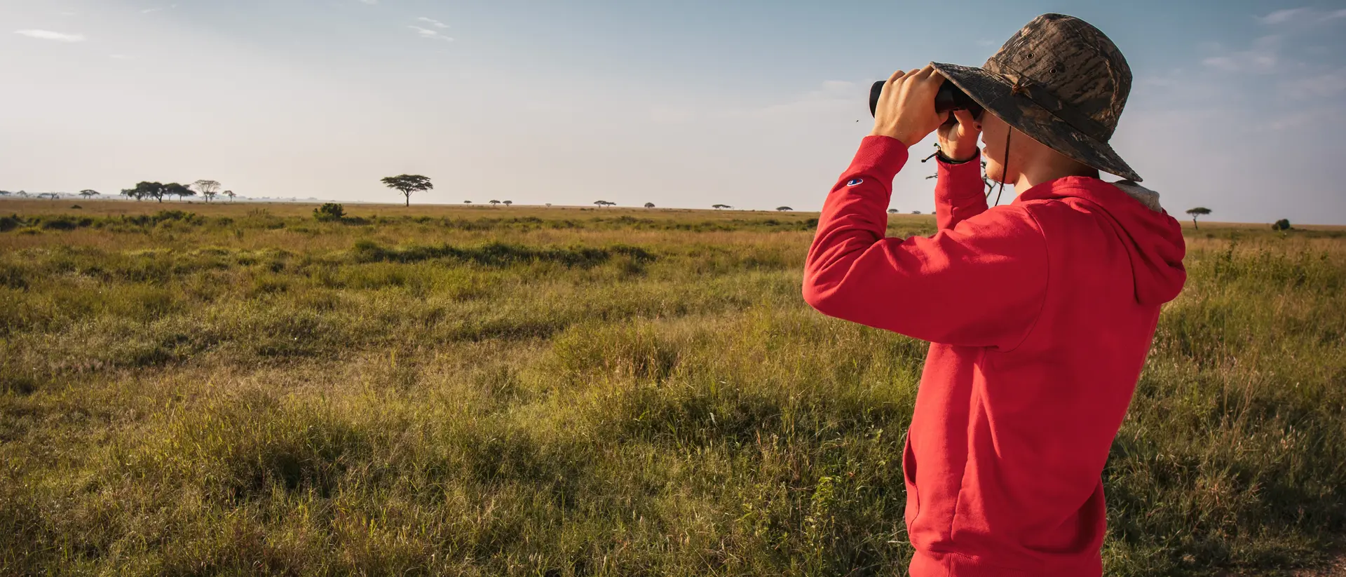 The savannah of Tanzania