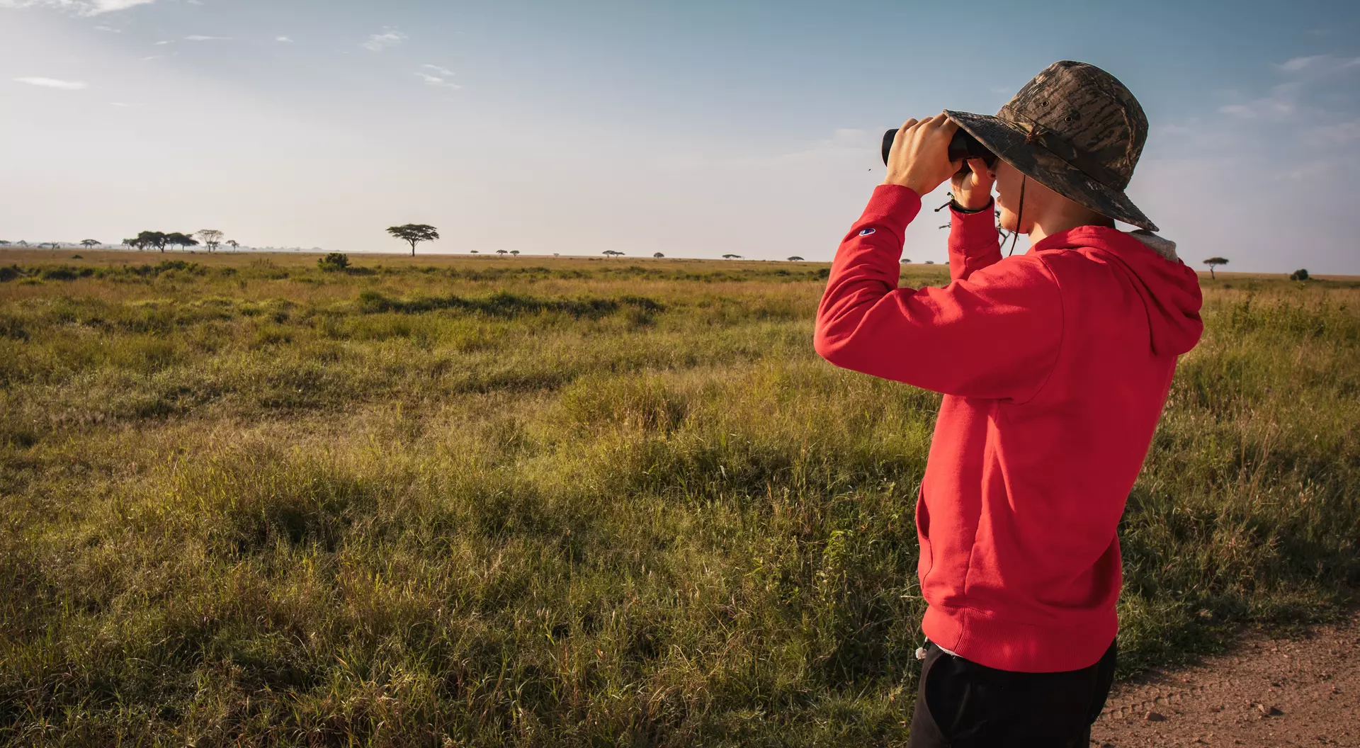 The savannah of Tanzania