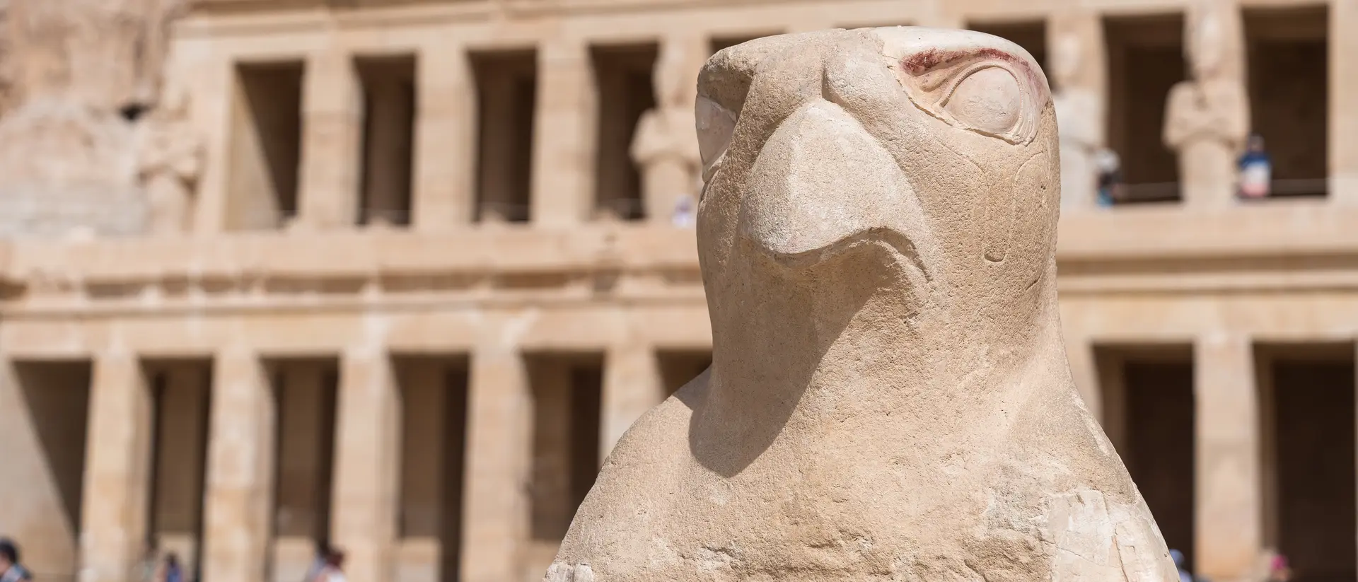 Ancient Egypt carving of Horus at the temple of Hatshepsut