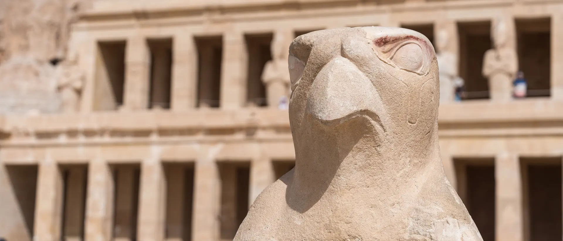 Ancient Egypt carving of Horus at the temple of Hatshepsut