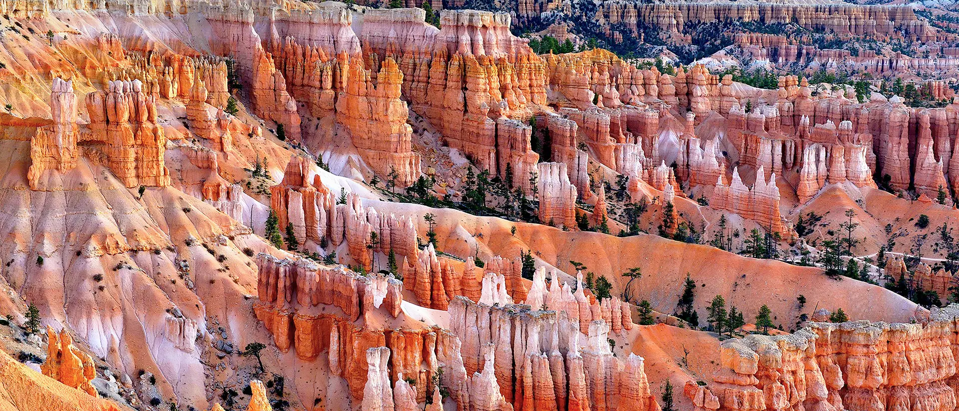 Vibrant orange hoodoos and intricate rock formations within the canyon