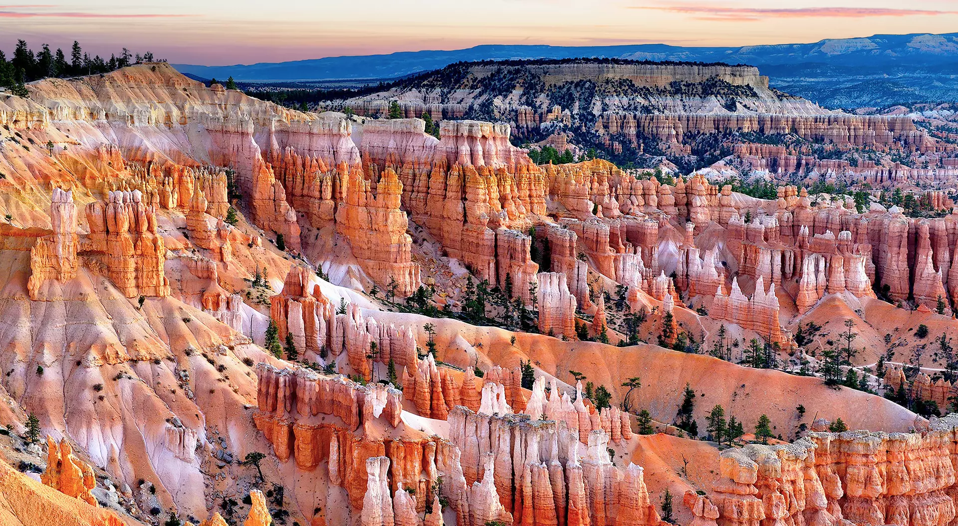 Vibrant orange hoodoos and intricate rock formations within the canyon