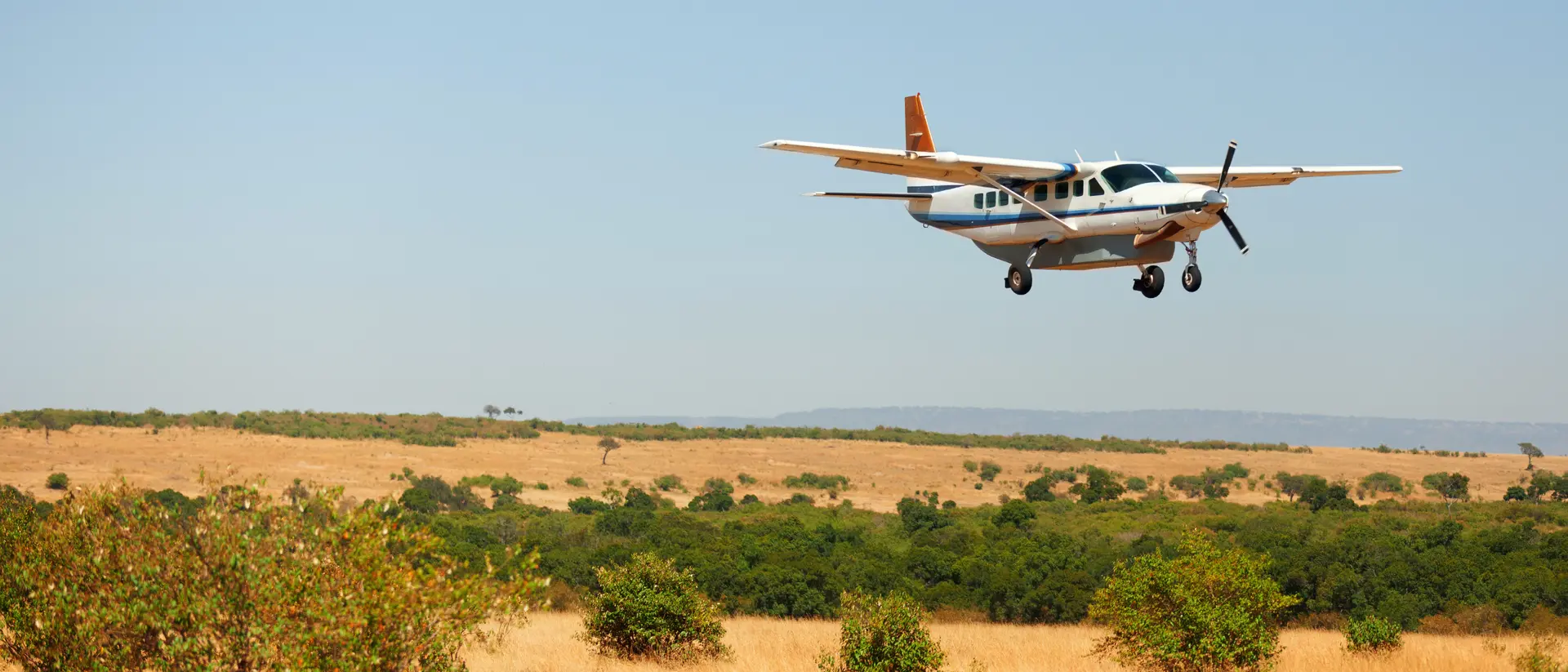 Sky Safari