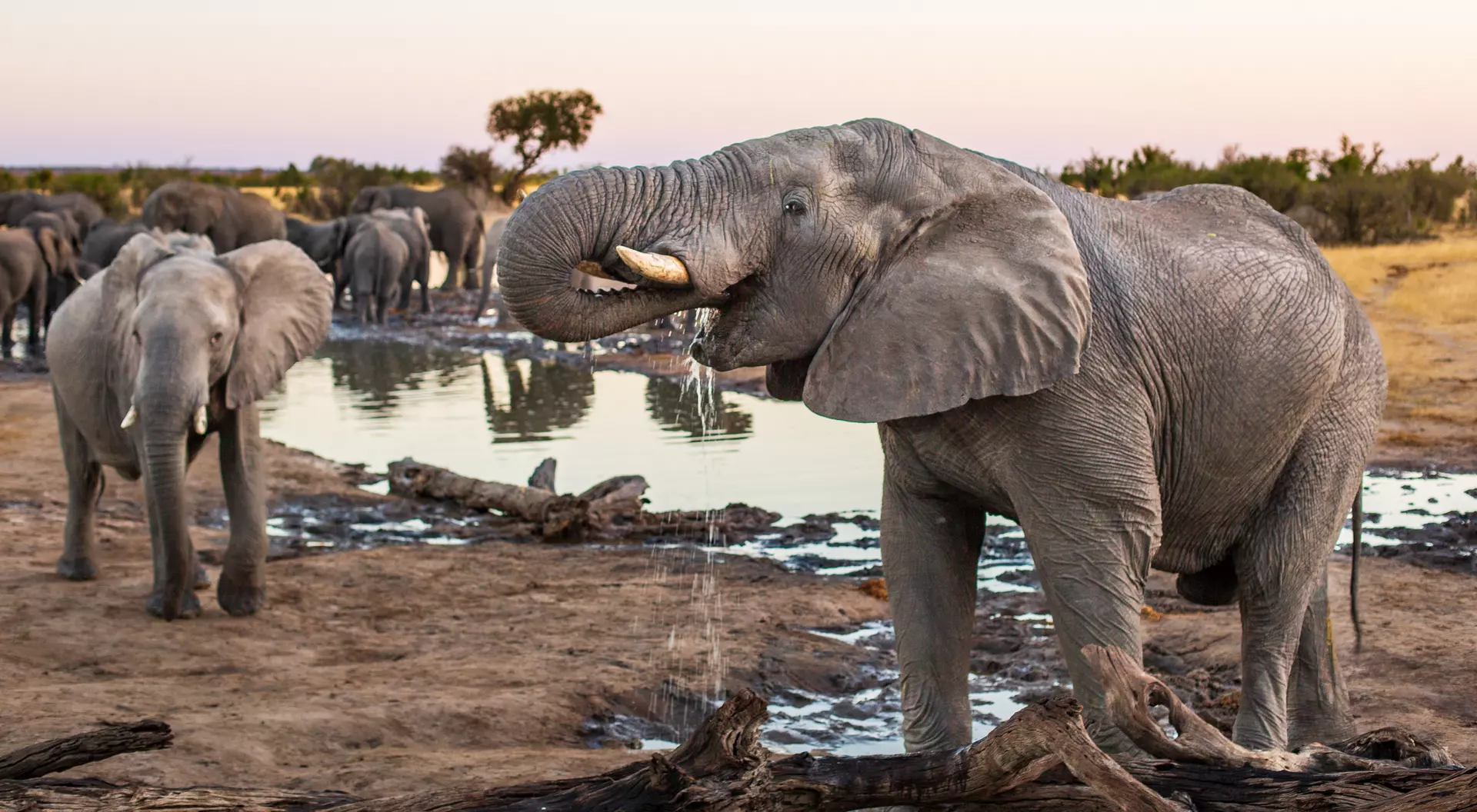 Hwange National Park