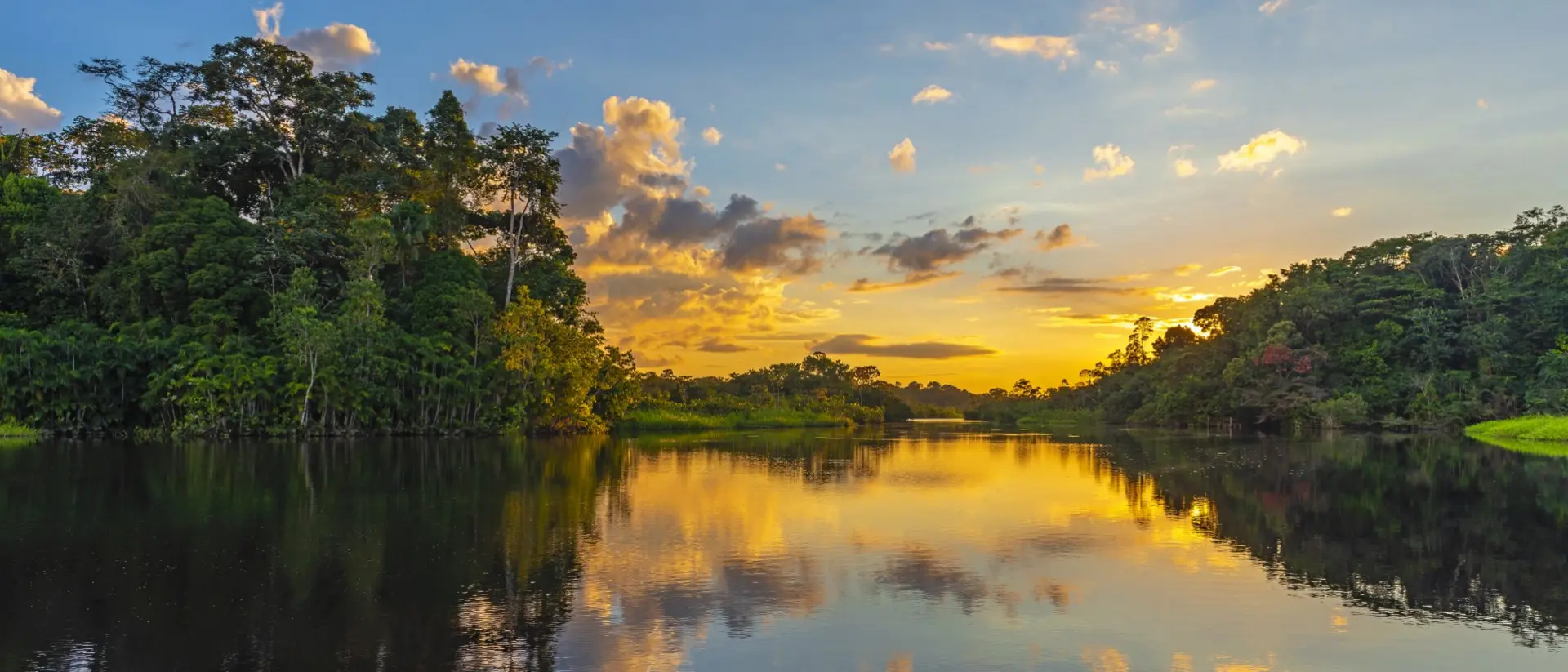 The Amazon at Sunset