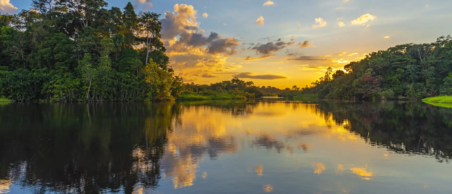 The Amazon at Sunset