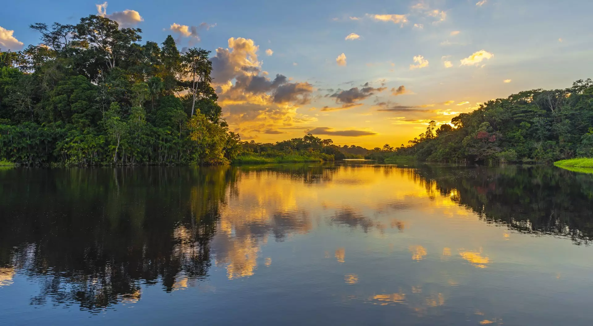 The Amazon at Sunset