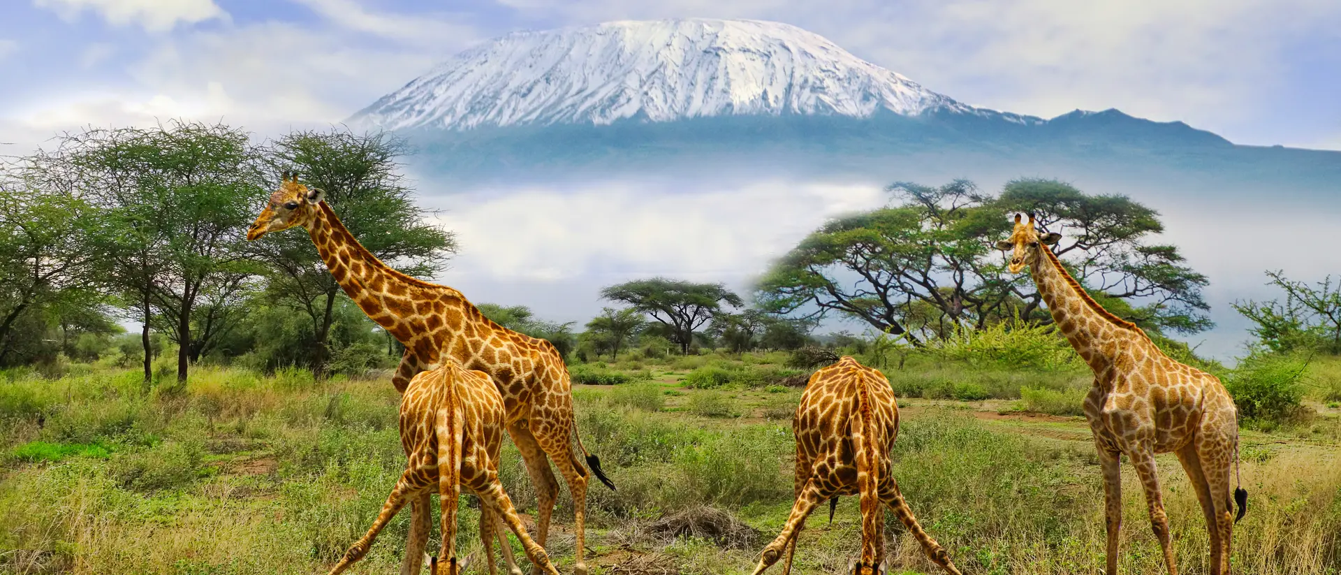 Amboseli